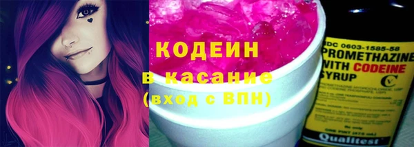 молекула духа Алзамай