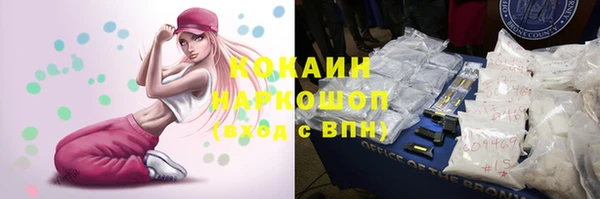 соль ск Алексеевка