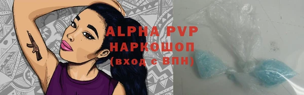 хмурый Абаза