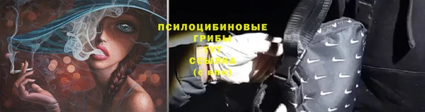 соль ск Алексеевка