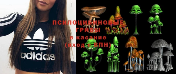 соль ск Алексеевка