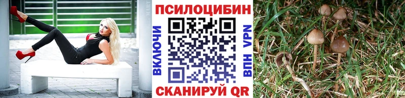 Псилоцибиновые грибы прущие грибы  как найти закладки  Новокубанск 